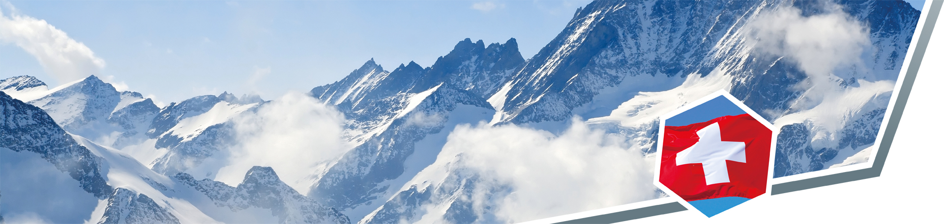 banner web
